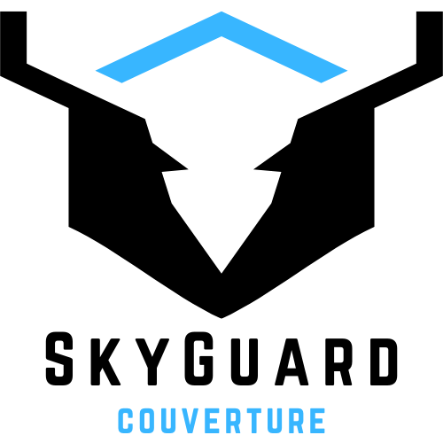 Skyguard.couverture